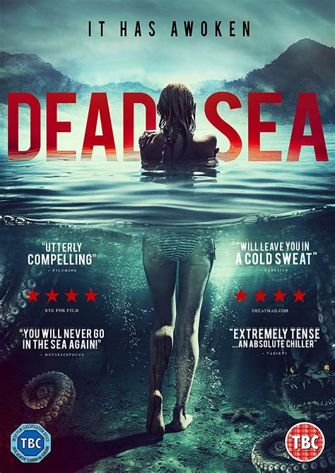 Poster of The Dead Sea Movie